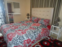 Appartement au centre ville - LM317